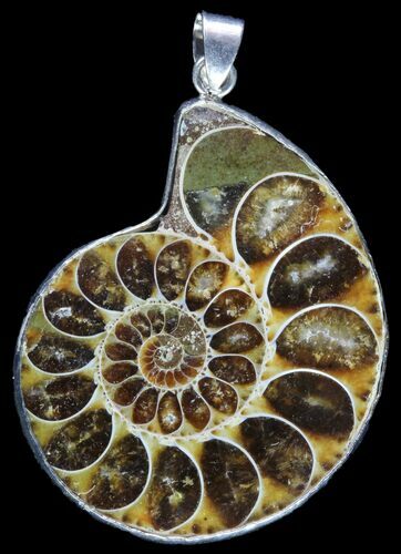 Fossil Ammonite Pendant - Million Years Old #89862